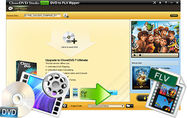 convert dvd to flv