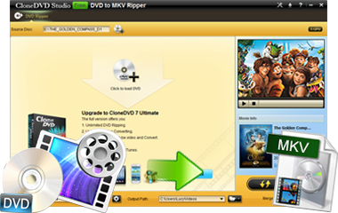 convert dvd to mkv